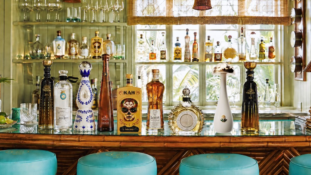 A stylish bar showcasing various unique tequila bottles against a tropical backdrop with vibrant decor and plants.