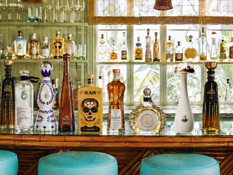A stylish bar showcasing various unique tequila bottles against a tropical backdrop with vibrant decor and plants.