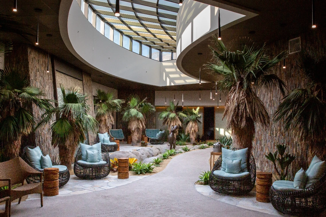 A serene spa area with palm trees and comfortable seating, featuring natural light and a relaxing atmosphere.