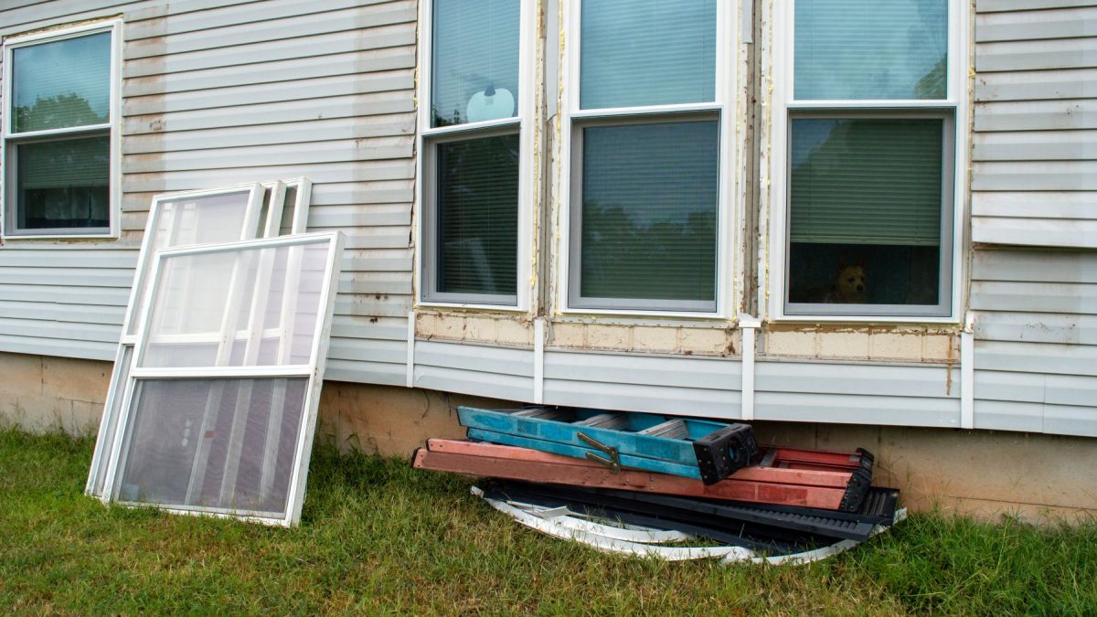 Old window frames and stacked materials sit outside a house with a dog visible inside.