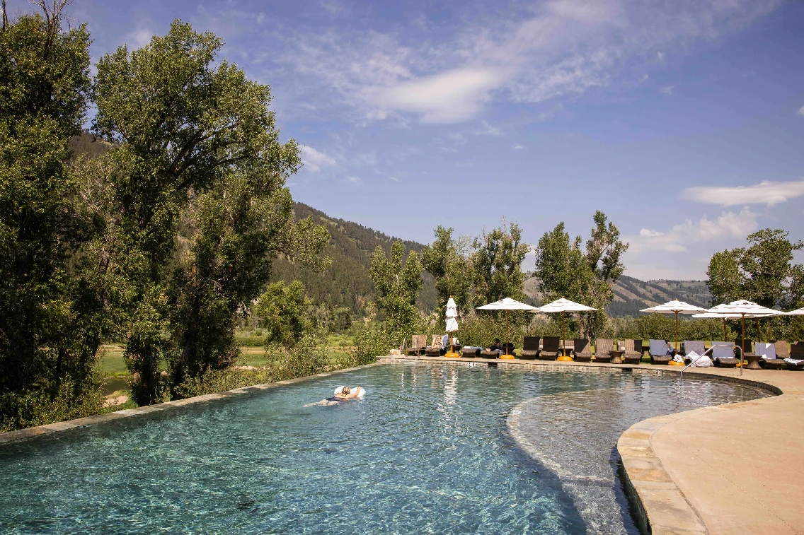 An inviting infinity pool surrounded by trees, lounge chairs, and umbrellas with mountains in the background at The Sylvan Lodge.
