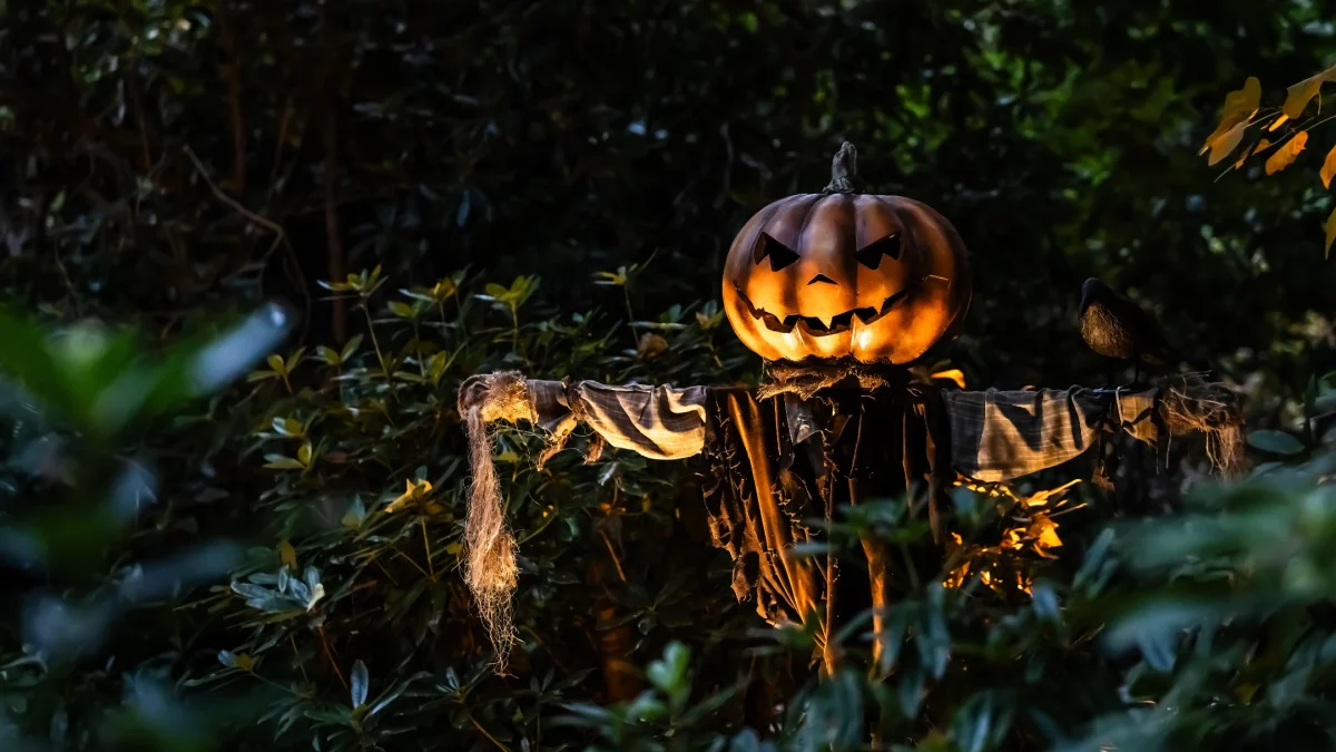 A spooky scarecrow with a carved pumpkin head stands among dark green foliage, enhancing the Halloween atmosphere.