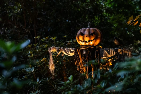 A spooky scarecrow with a carved pumpkin head stands among dark green foliage, enhancing the Halloween atmosphere.