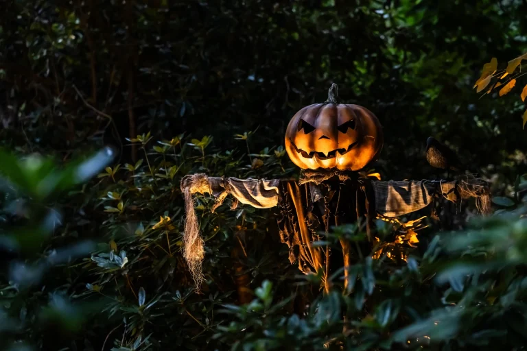 A spooky scarecrow with a carved pumpkin head stands among dark green foliage, enhancing the Halloween atmosphere.