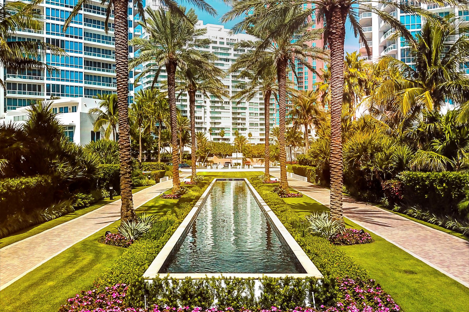 Reflecting pool surrounded by palm trees and landscaped gardens at Continuum in Miami Beach.