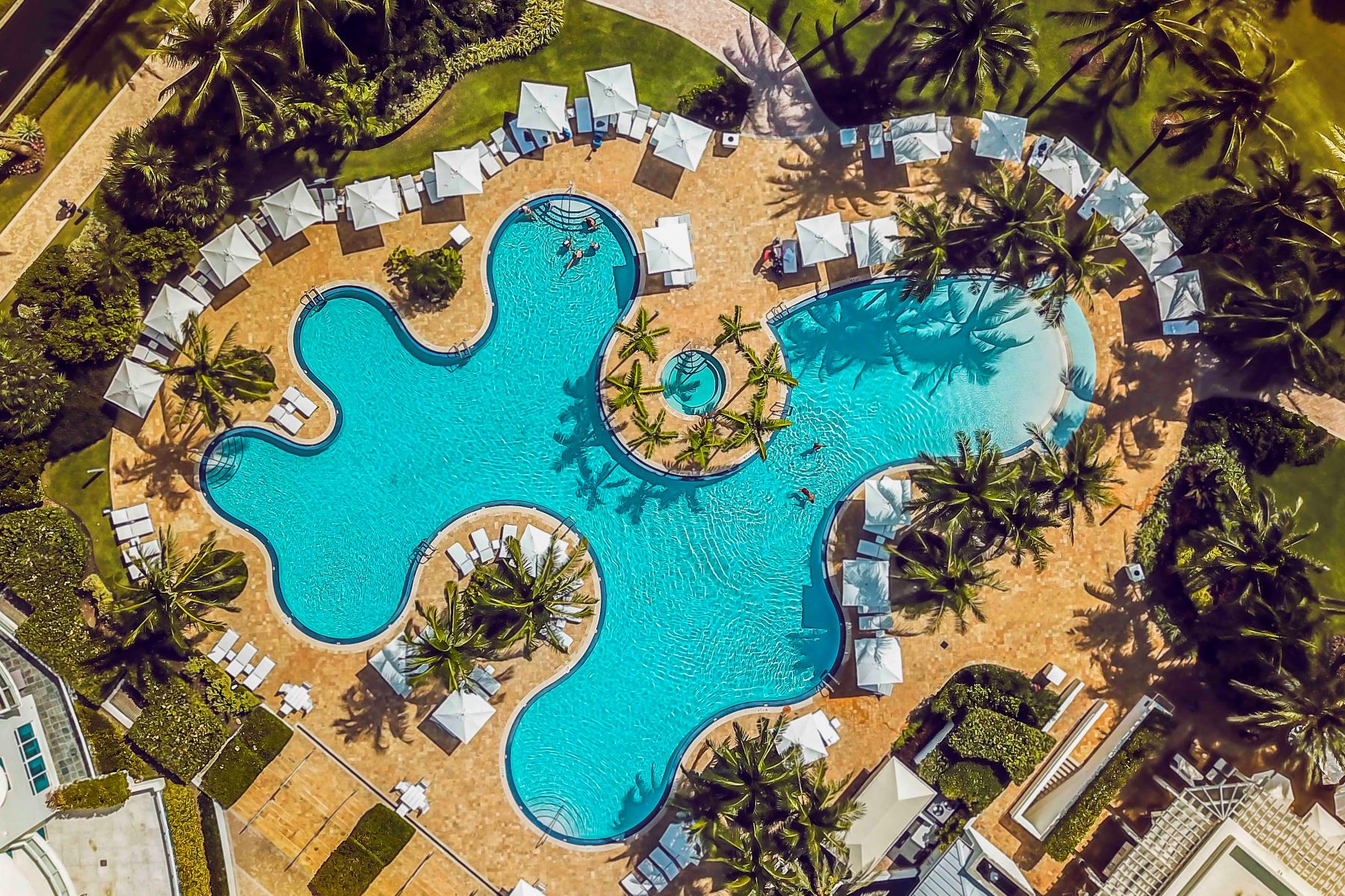 Aerial view of a vibrant pool with palm trees and cabanas at Continuum in Miami Beach.