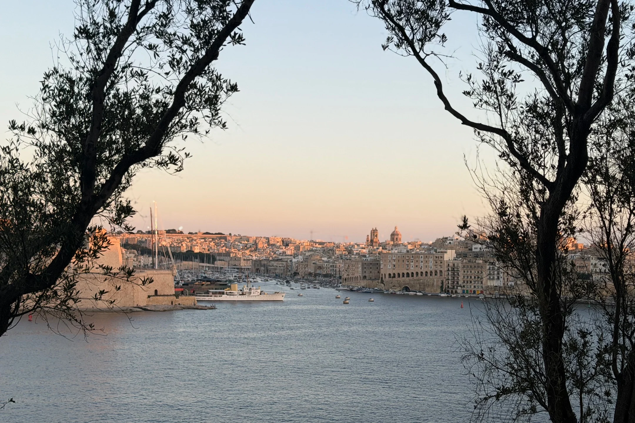 View of Valletta's skyline at sunset, framed by trees, showcasing the harbor and historic buildings along the water.