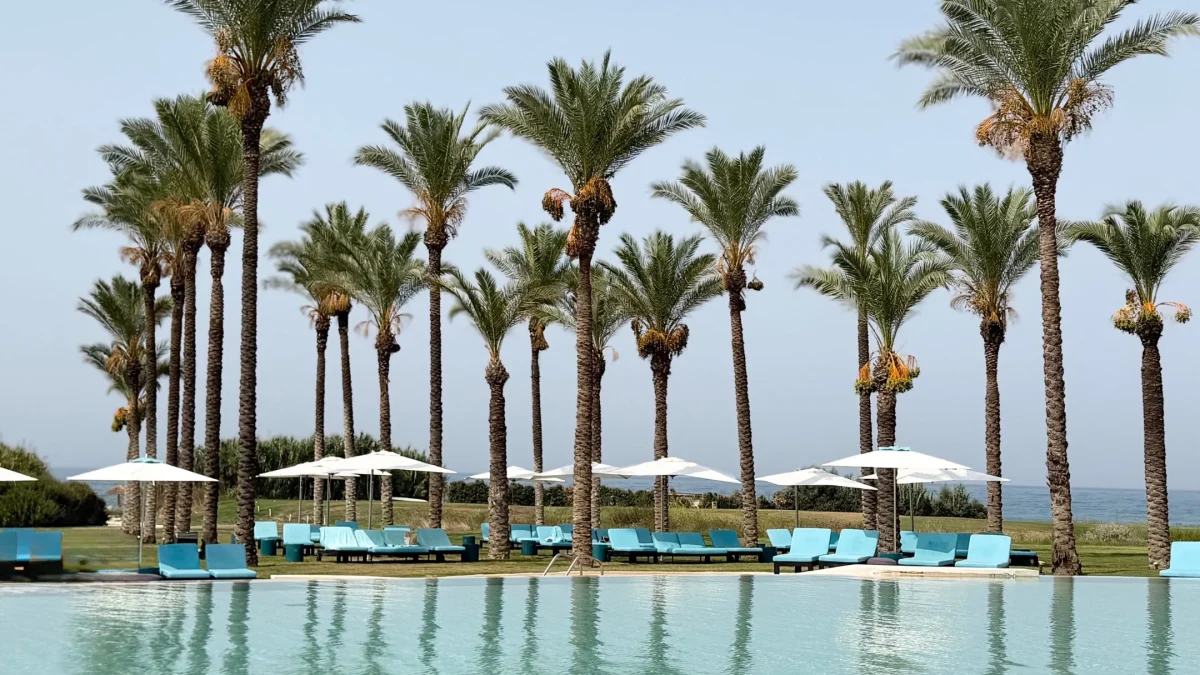 Lush palm trees line a serene poolside area at Rocco Forte’s Verdura Resort, showcasing a tranquil Sicilian landscape.