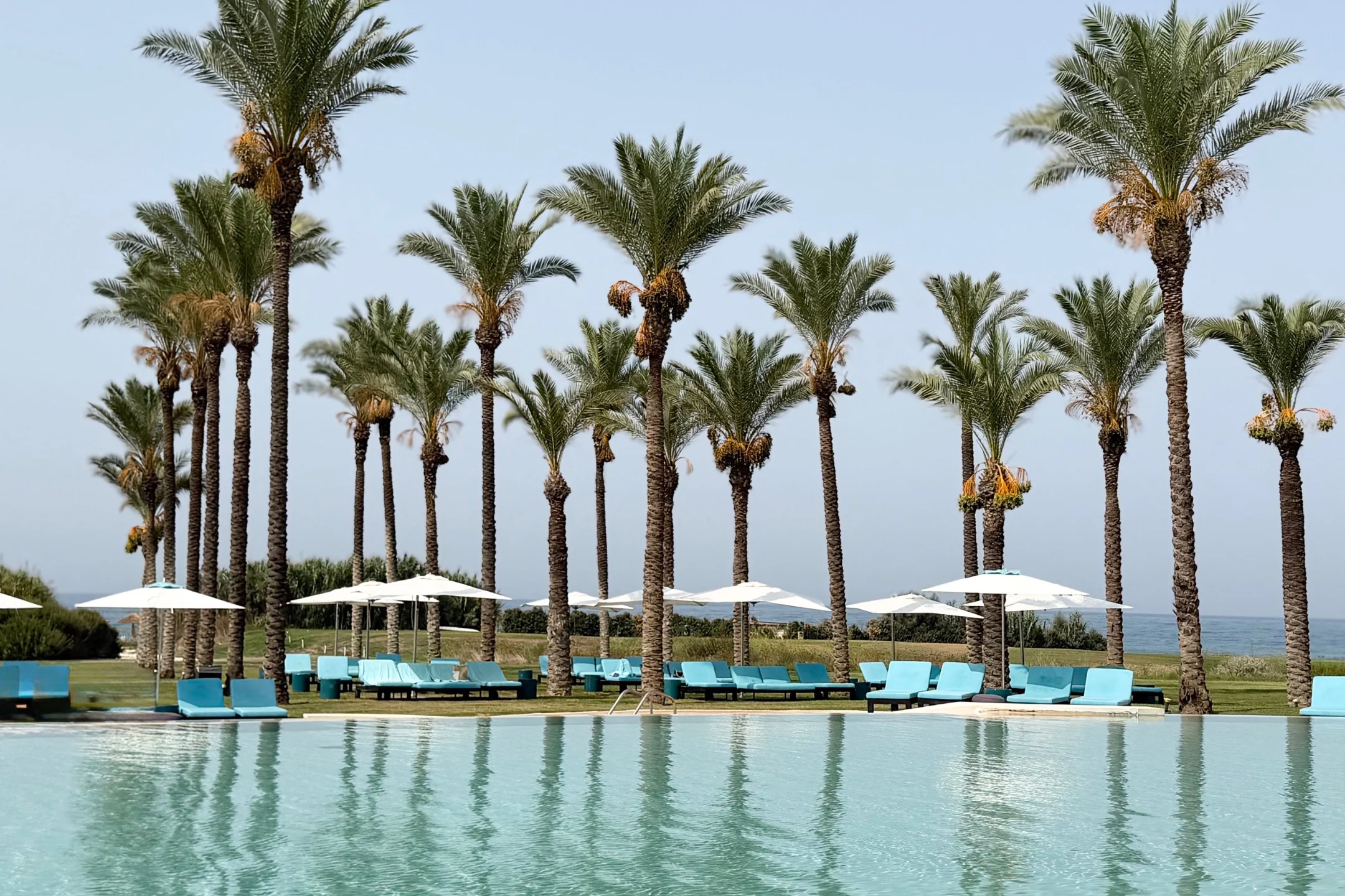 Lush palm trees line a serene poolside area at Rocco Forte’s Verdura Resort, showcasing a tranquil Sicilian landscape.