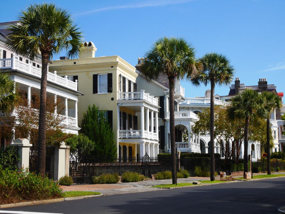 Historic Southern-style homes with palm trees lining the street under a clear blue sky.