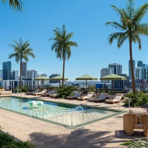 Rooftop pool area in Miami with palm trees, lounge chairs, and city skyline in the background under a clear blue sky.