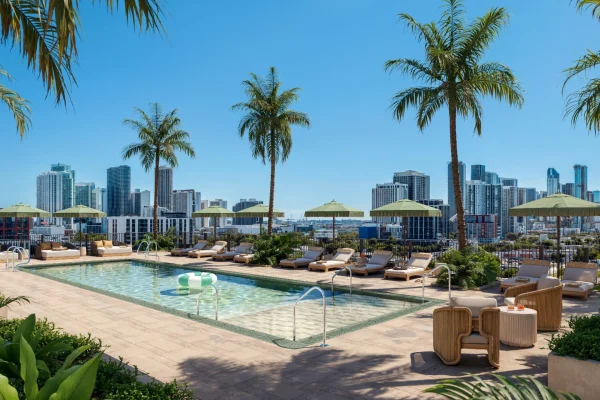 Rooftop pool area in Miami with palm trees, lounge chairs, and city skyline in the background under a clear blue sky.