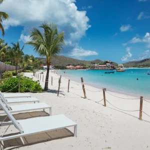 Lounge chairs line a sandy beach with clear turquoise water and palm trees in the background, capturing the essence of luxury in St. Barts.