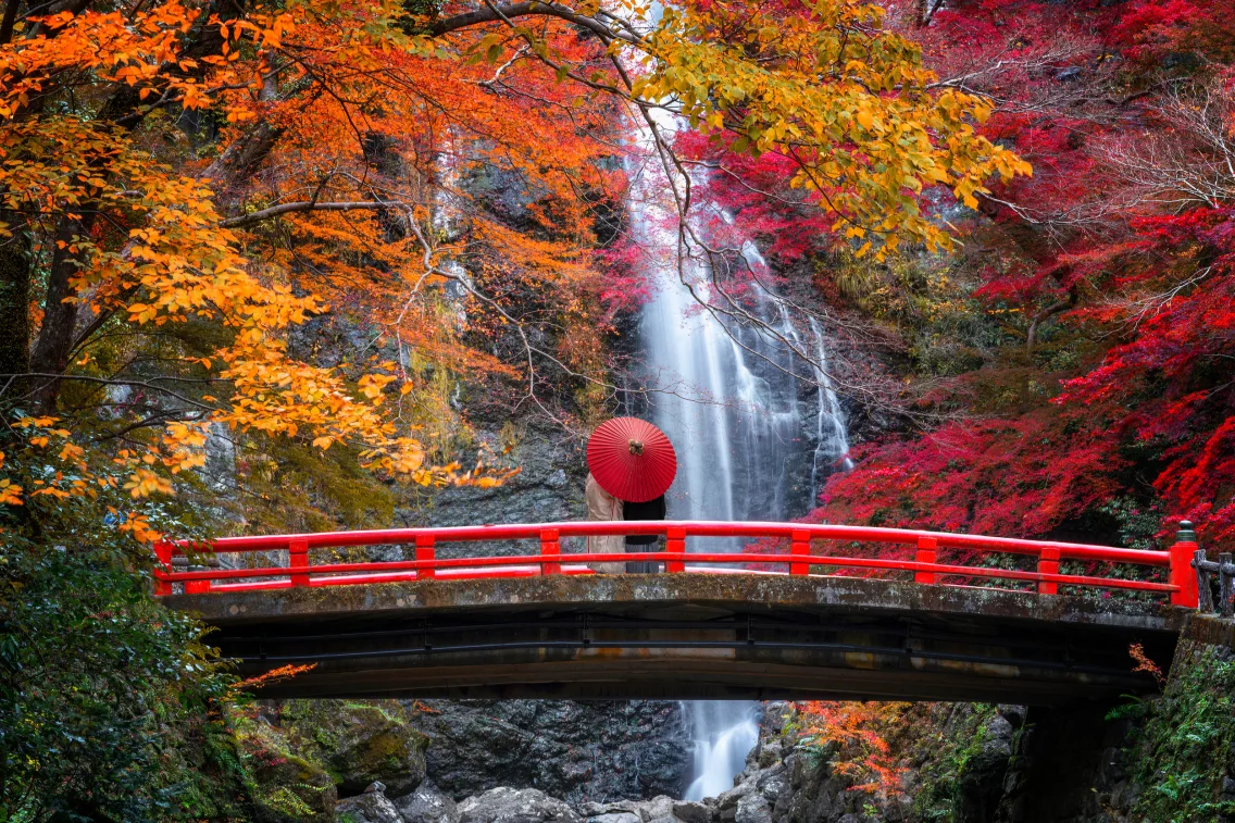 A person holding a red umbrella stands on a bridge with a waterfall surrounded by vibrant autumn foliage.