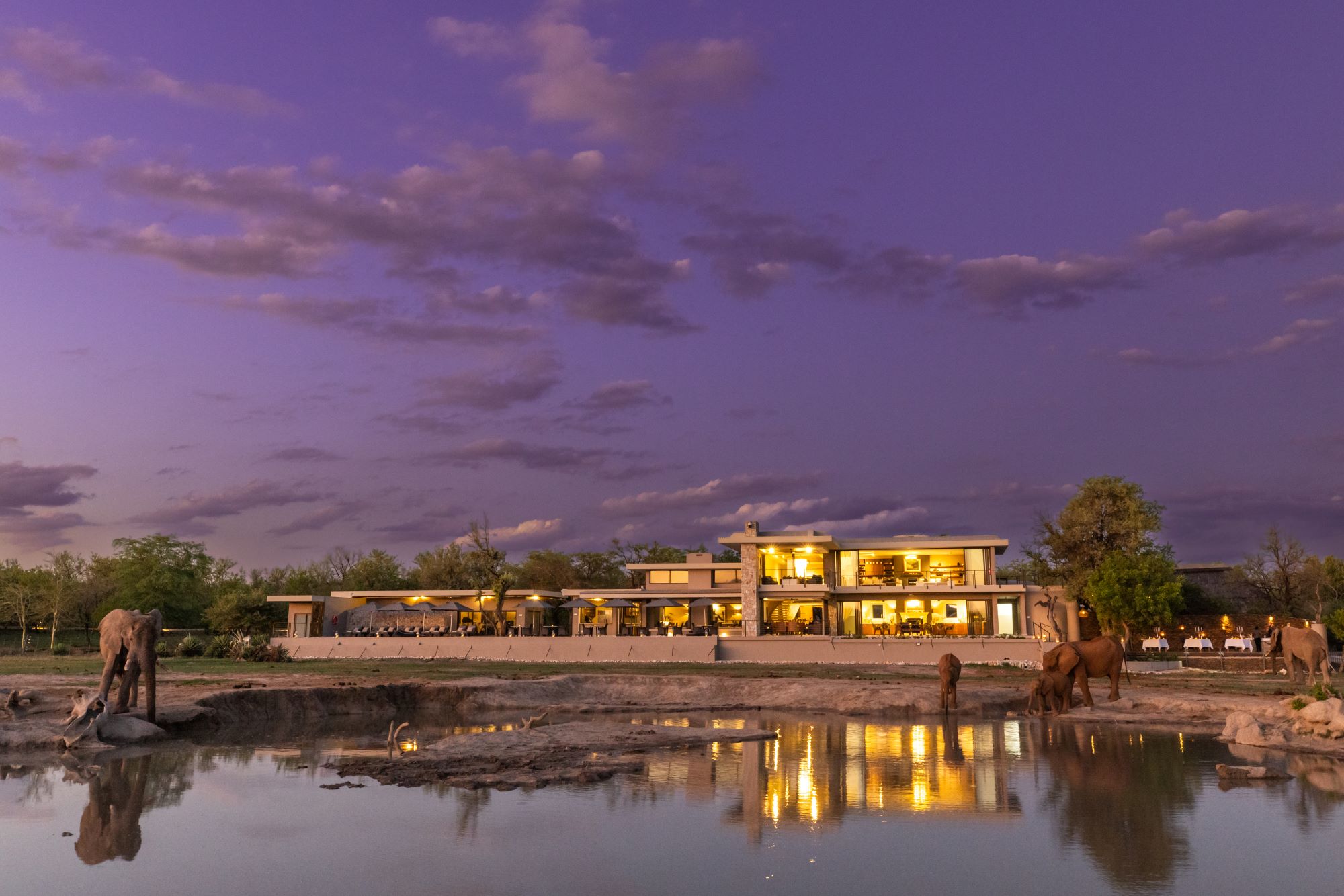 Luxury lodge illuminated at dusk, with elephants drinking at a waterhole under a purple sky.