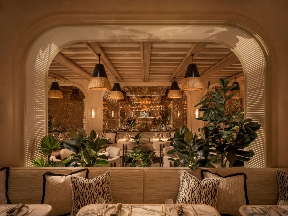 Elegant restaurant interior in Mayfair, featuring lush plants, stylish seating, and warm lighting, perfect for enjoying truffles.