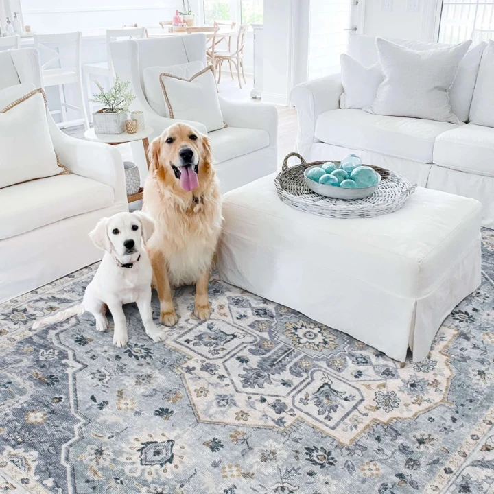 Two dogs sit on a decorative rug in a bright, cozy living room with white furniture and a table featuring decorative items.