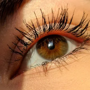 Close-up of an eye showcasing long eyelashes and a warm brown iris illuminated by natural light.