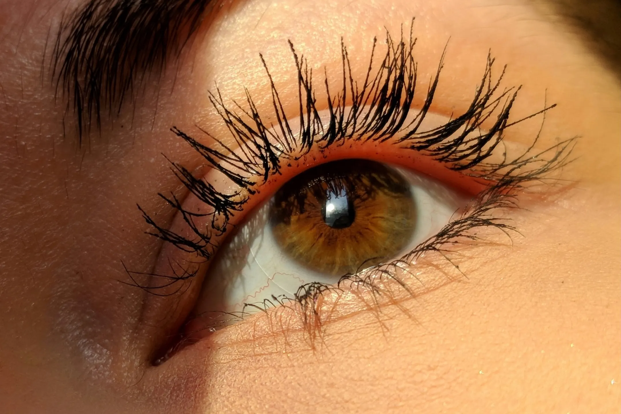 Close-up of an eye showcasing long eyelashes and a warm brown iris illuminated by natural light.