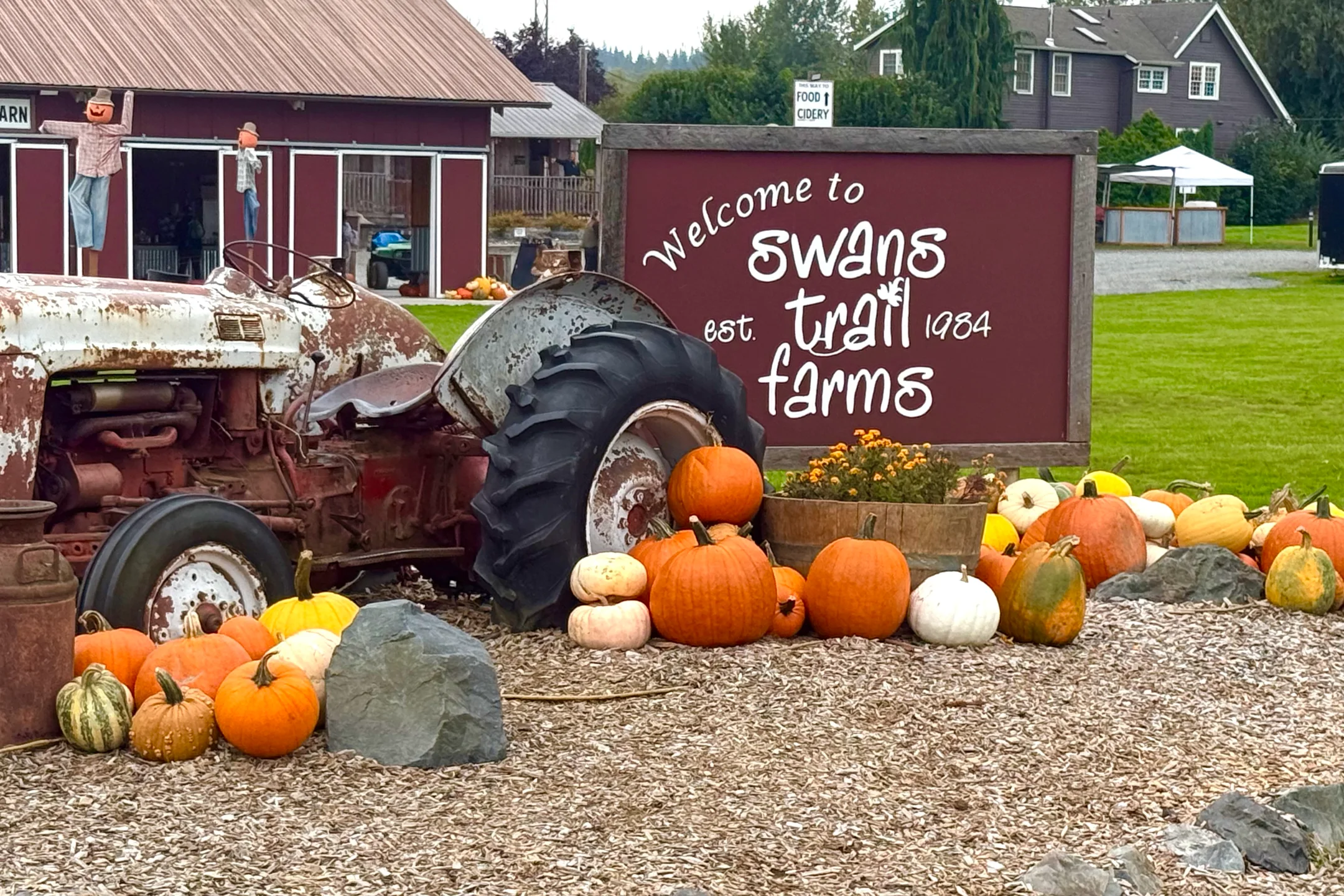 Sign for Swans Trail Farms with a vintage tractor and colorful pumpkins in the foreground, capturing a fall atmosphere.