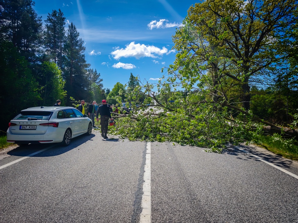 A fallen tree blocking the road with people gathered around in a scenic outdoor setting.