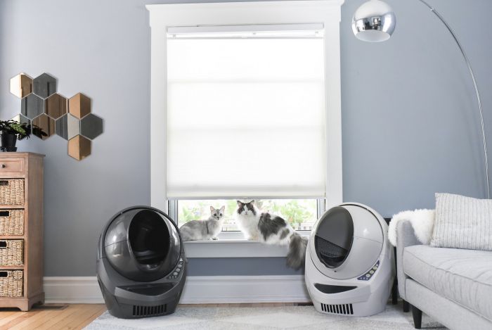 Swap Your Cat Litter Box With This Beauty