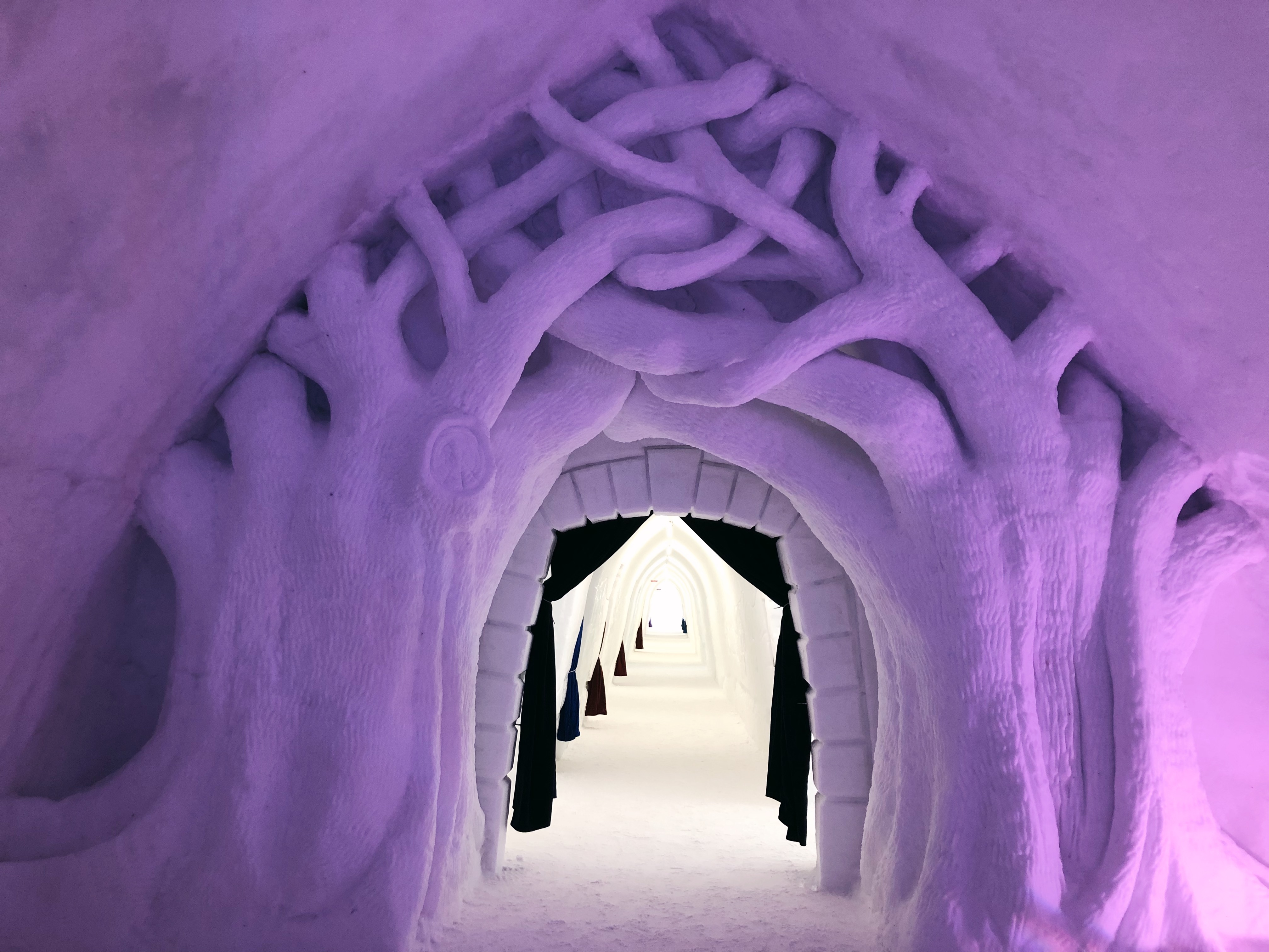  ice hotel