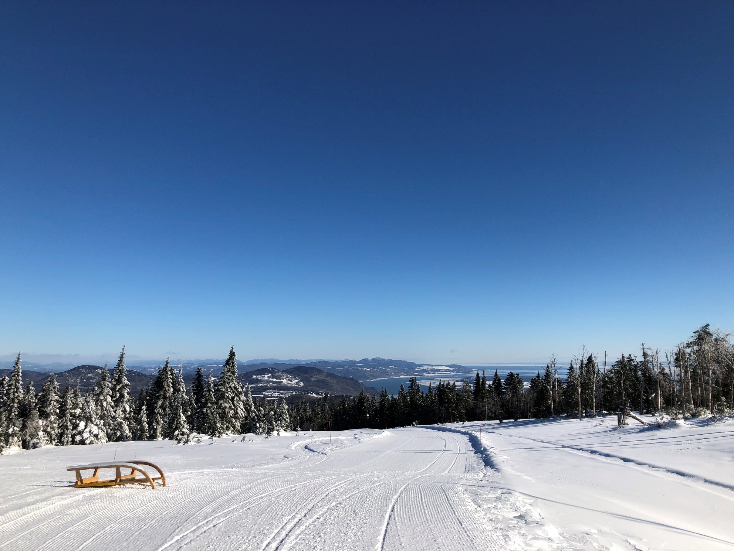 sledding, le massif, quebec, charlevoix