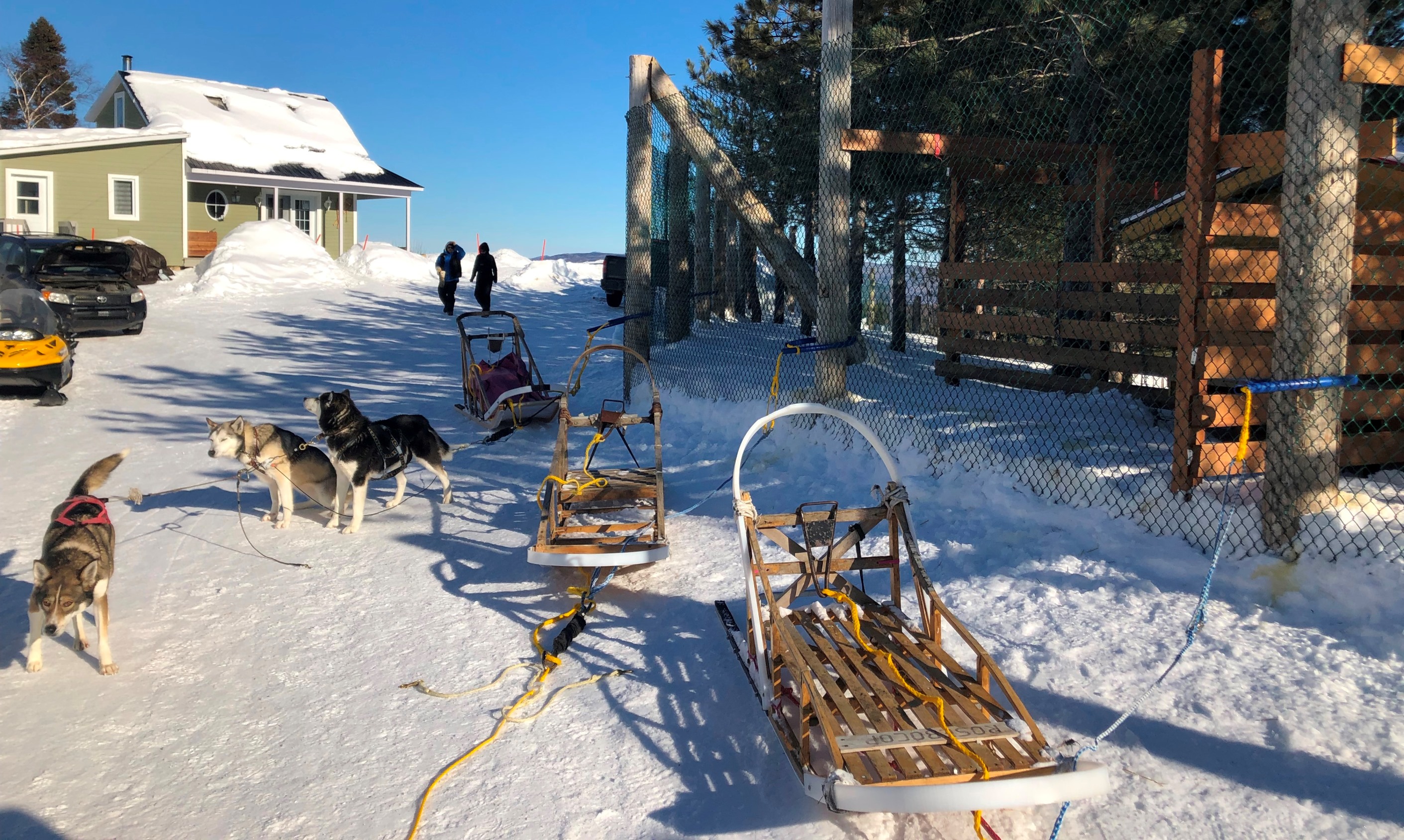 dog sledding, charlevoix, quebec, canada