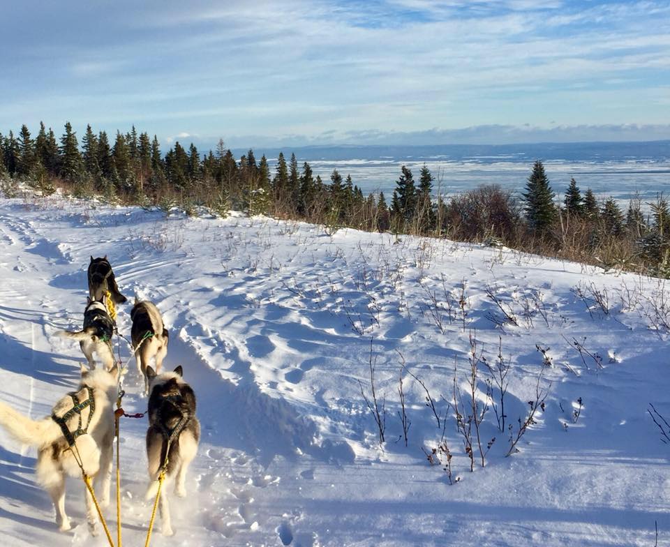 dog sledding, charlevoix, quebec, canada