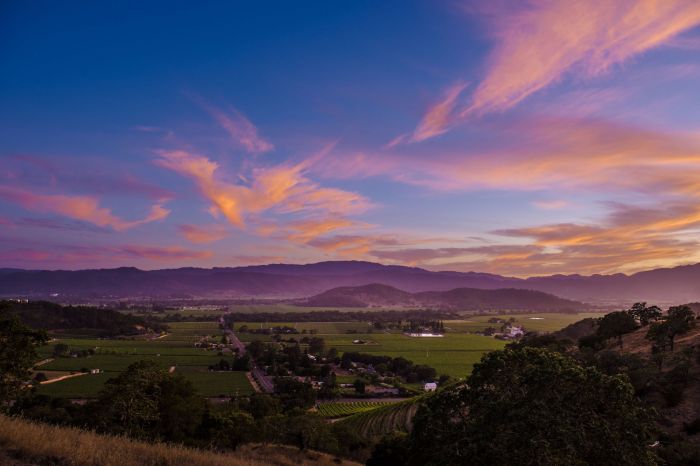 napa valley view