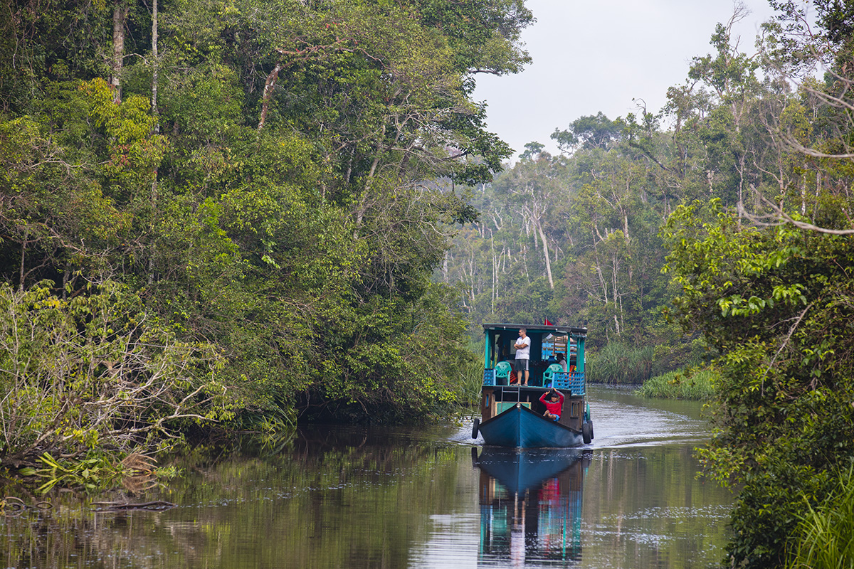  Wild Focus Expeditions, Indonesia, travel