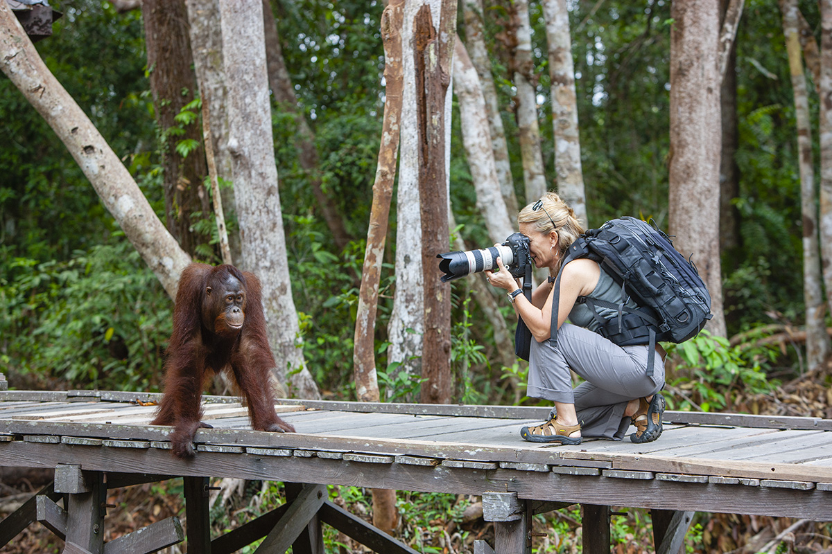  Wild Focus Expeditions, Indonesia, travel