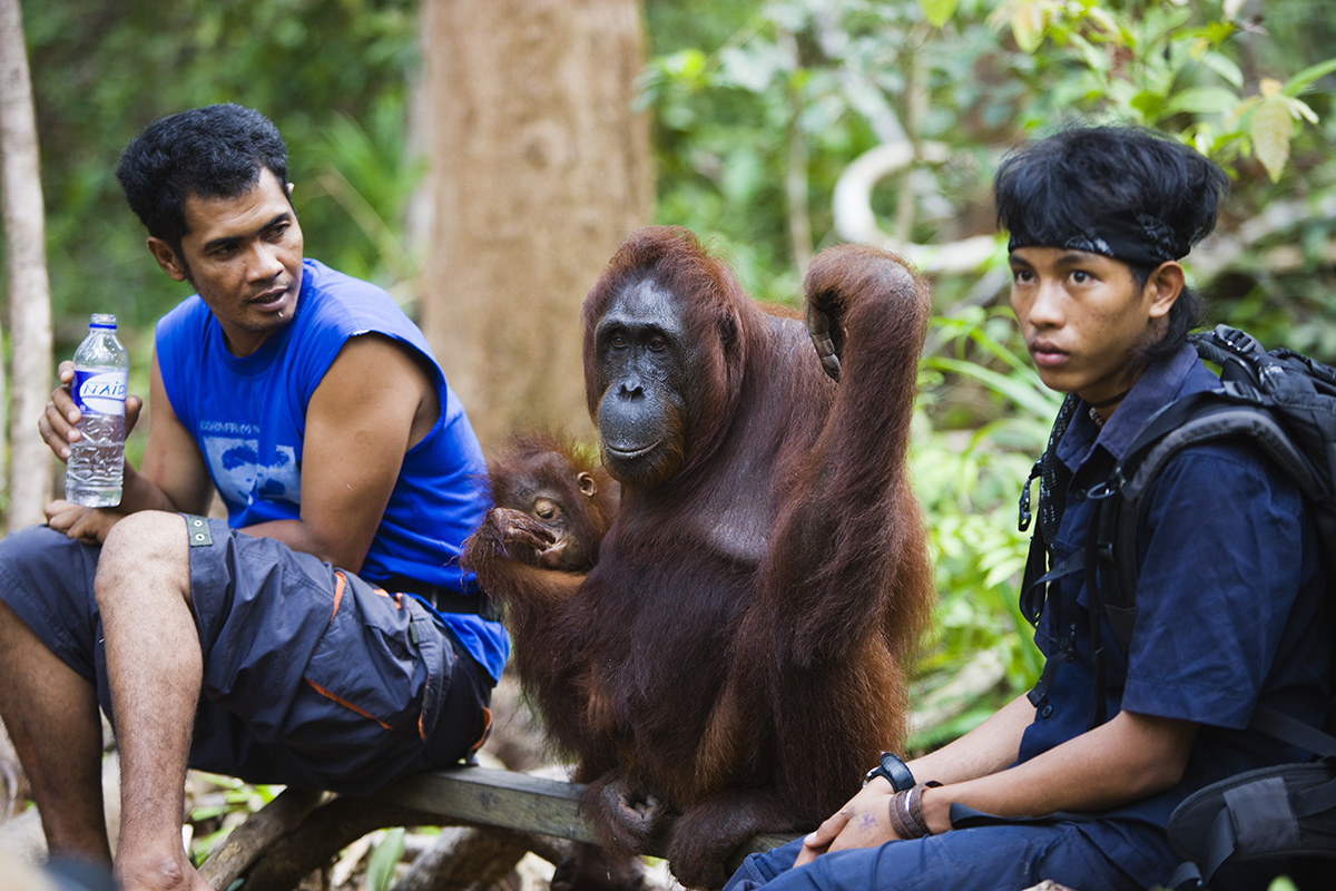  Wild Focus Expeditions, Indonesia, travel