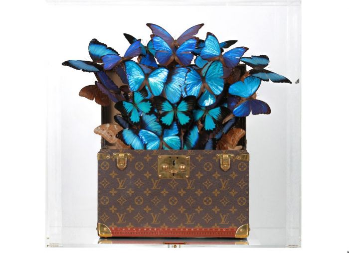 Roman Feral's Artwork Combines Real Butterflies With Designer