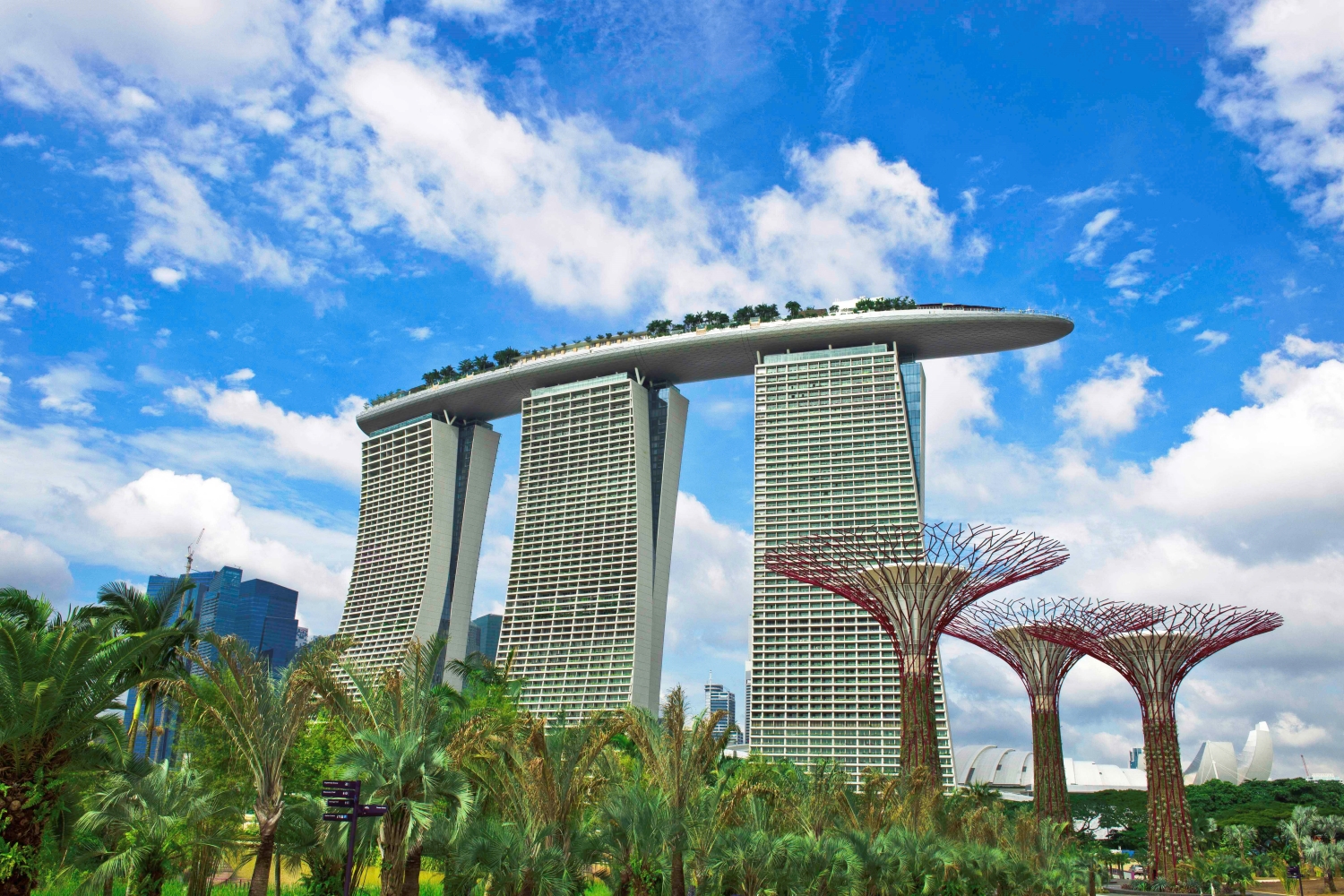 отель марина бэй сэндс сингапур