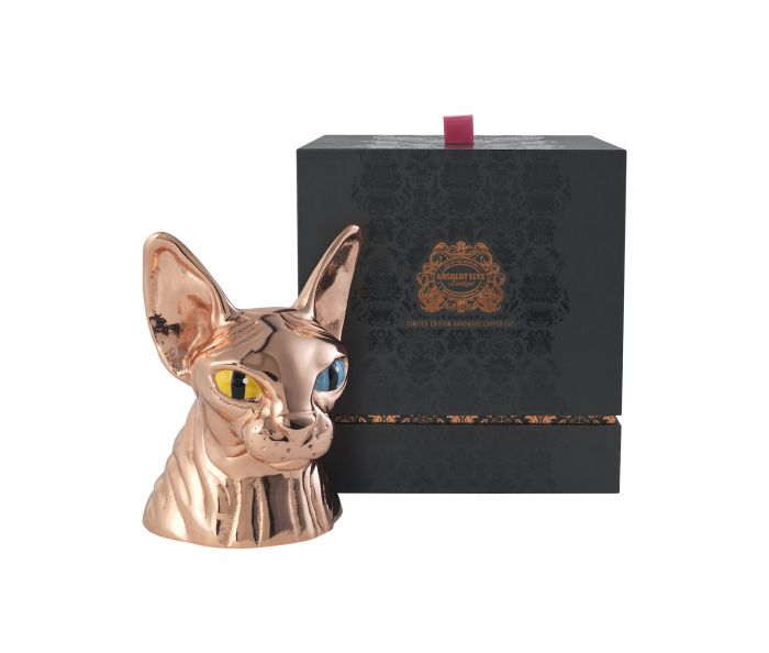 Sphynx Cat Clothes Louis Vuitton