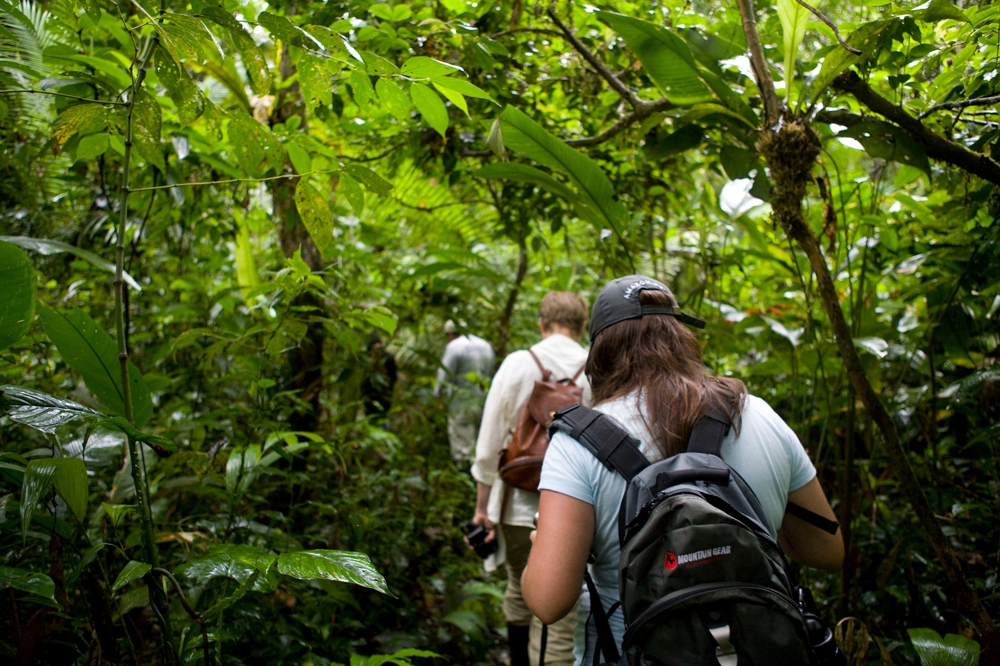 Спас в джунглях. Амазония джунгли круиз. Джунгли амазонки Бразилия экскурсии. Экспедиция в джунгли амазонки. Туризм Бразилия Амазонка.