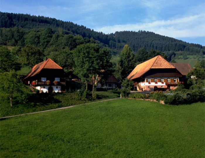 The Necromancer | The Black Forest, Germany