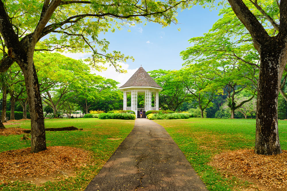 Singapore Botanic Gardens