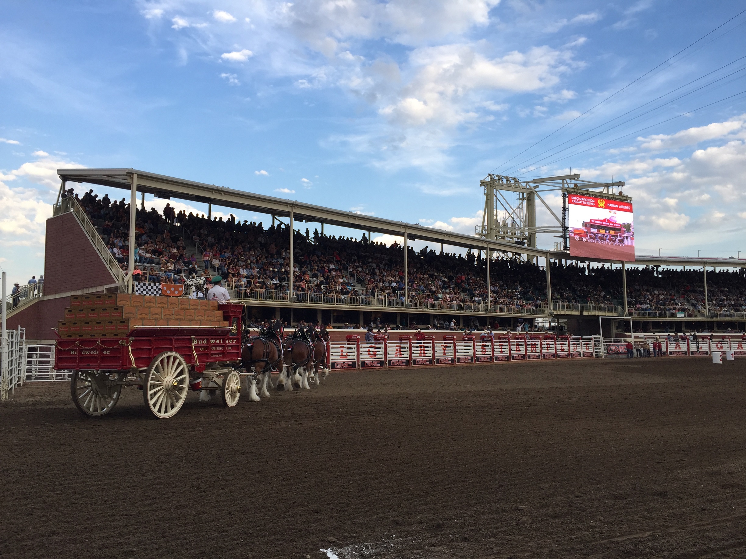  Calgary Cowboys