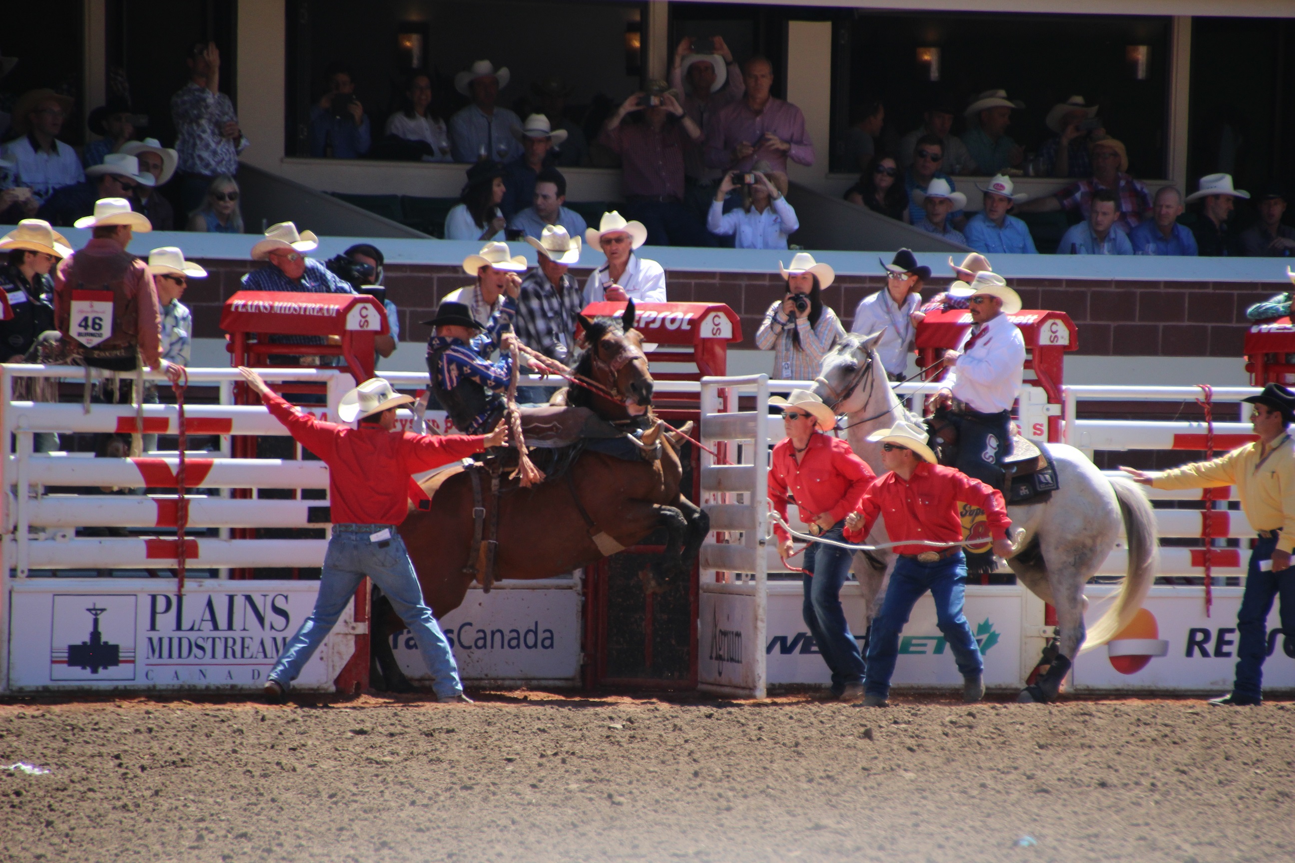  Calgary Cowboys