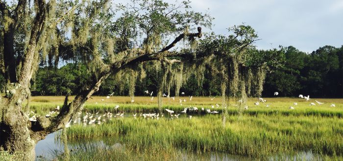 Timbers Kiawah Ocean Club & Residences