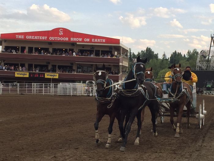 Calgary Cowboys