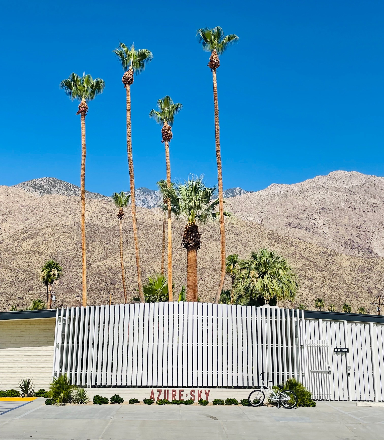 Azure Sky is Palm Springs Newest and Coolest Oasis