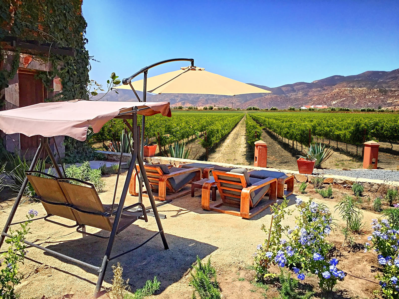 Experiencing Baja s Wine Country at Hotel Boutique Valle de Guadalupe