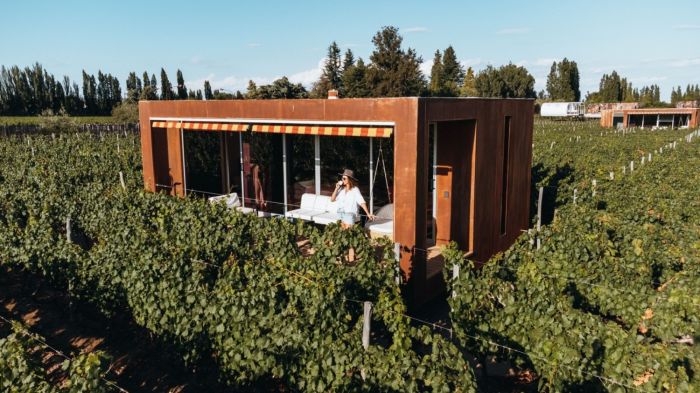 Escape to Argentina’s Wine Nation at Entre Cielos Wine Resort + Spa in Mendoza