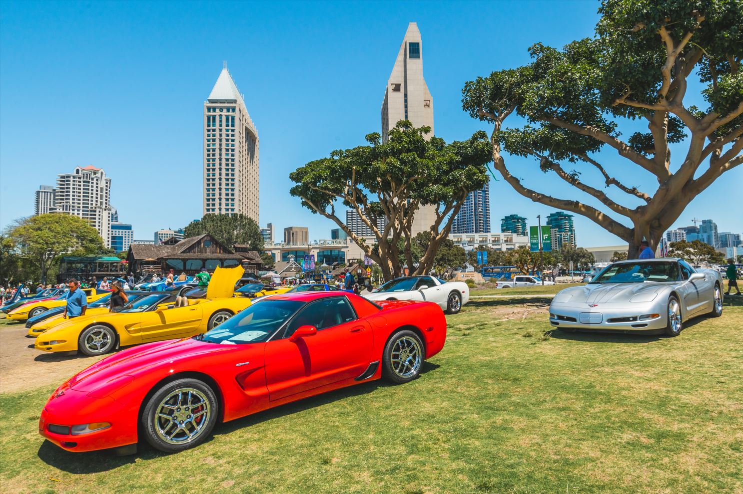 San Diego s Most Iconic Cars