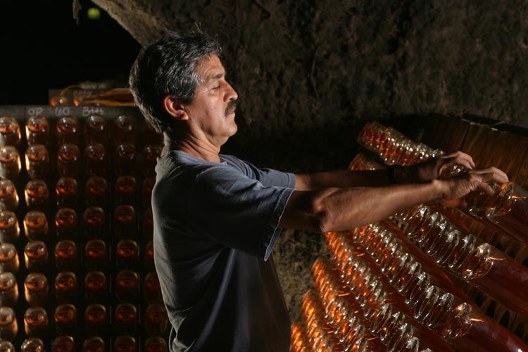 Learn how to make premier Napa sparkling wine at Schramsberg