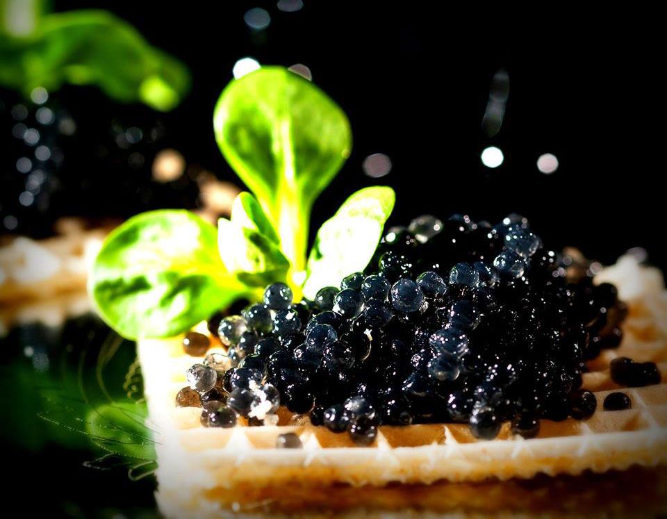 Black Russian Caviar